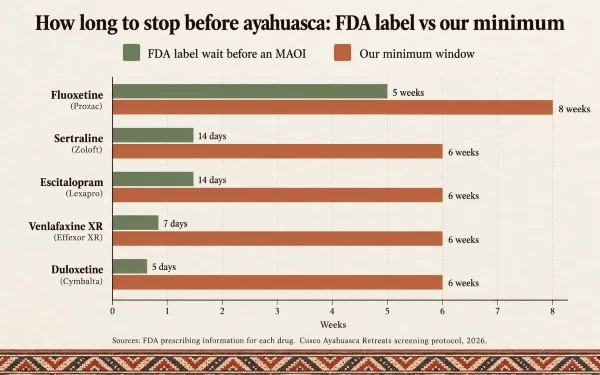 Ayahuasca vine sections beside unlabeled tablets, illustrating ayahuasca medication interactions