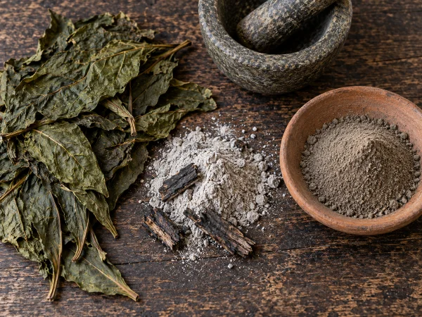 Rapé ingredients: dried Nicotiana rustica tobacco leaves, pale plant ash, and finished snuff side by side